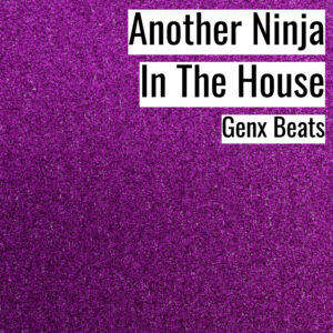 [Music] Another Ninja In The House (MP3)