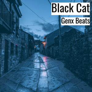 [Music] Black Cat (MP3)