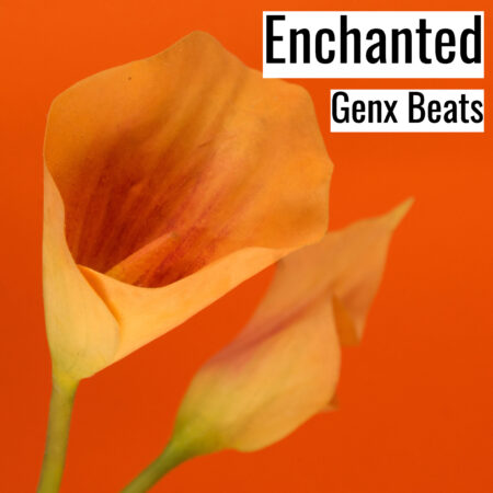 [Music]  Enchanted (MP3)