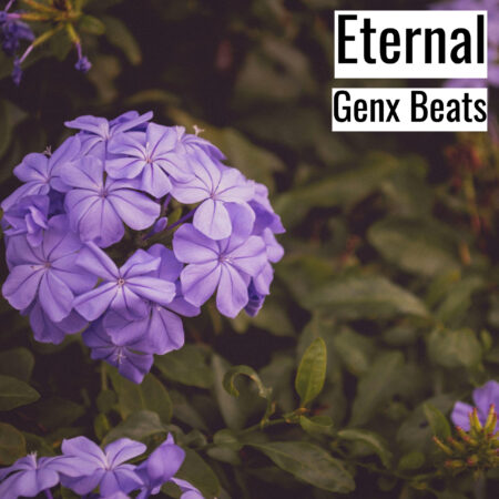 [Music]  Eternal (MP3)