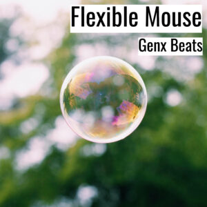 [Music] Flexible Mouse (MP3)