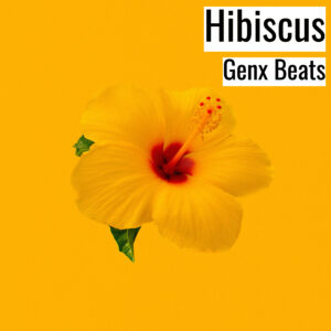 [Music] Hibiscus (MP3)