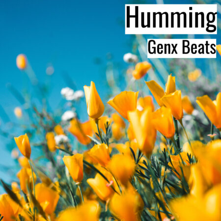[Music]  Humming (MP3)