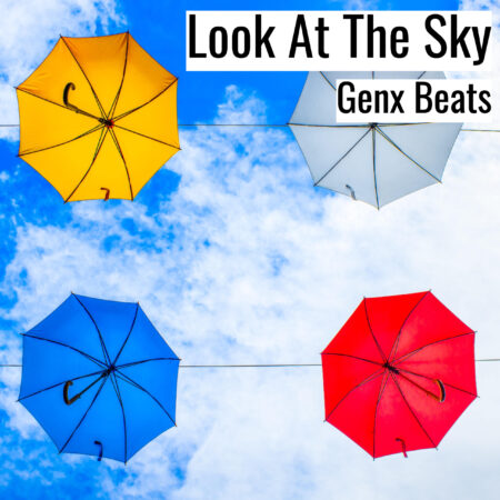 [Music]  Look At The Sky (MP3)