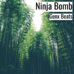 [Music] Ninja Bomb