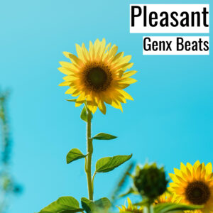 [Music] Pleasant (MP3)