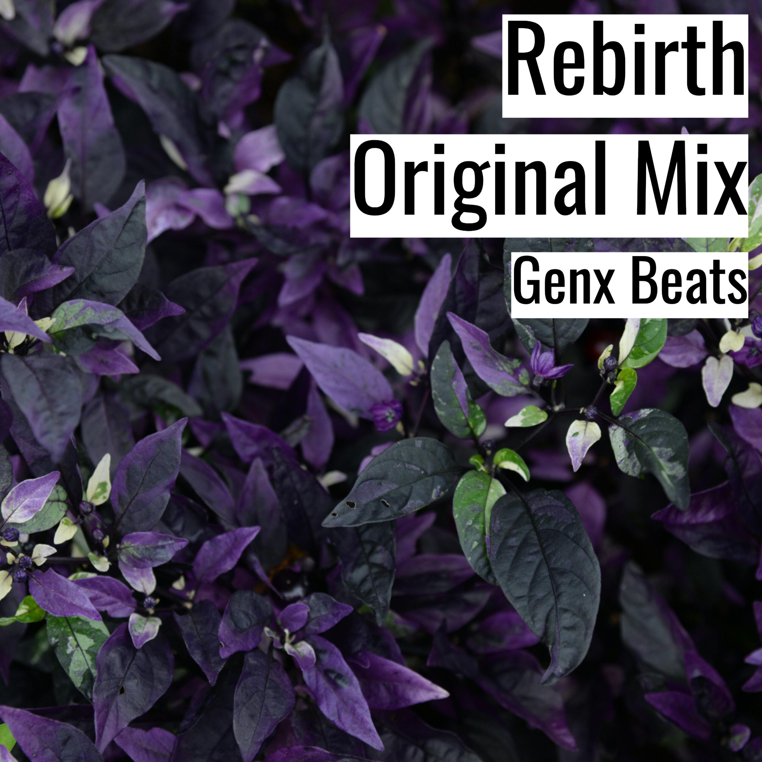 Rebirth Original Mix scaled