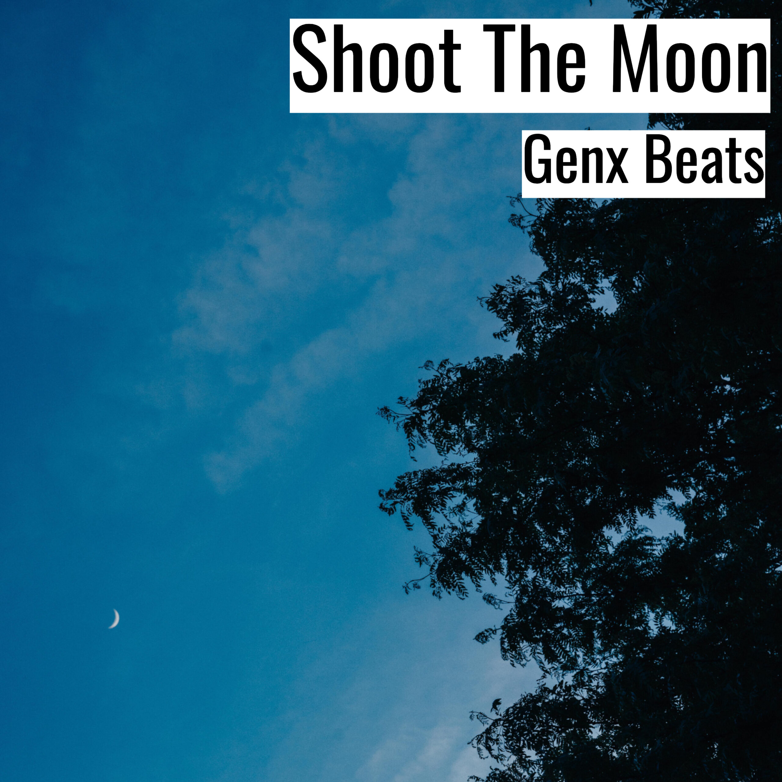 Shoot The Moon scaled