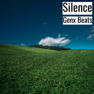 [Music] Silence (MP3)