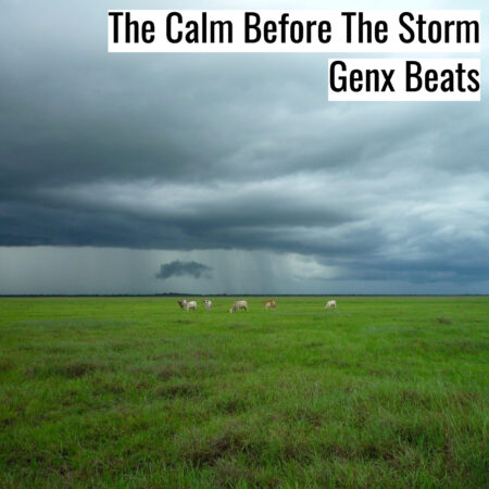 [Music]  The Calm Before The Storm (MP3)