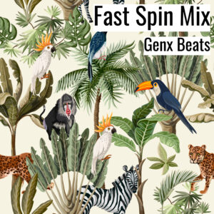[Music] Chanthu (Fast Spin Mix) (MP3)