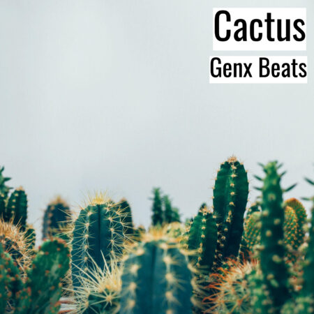 [Music] Cactus (MP3)