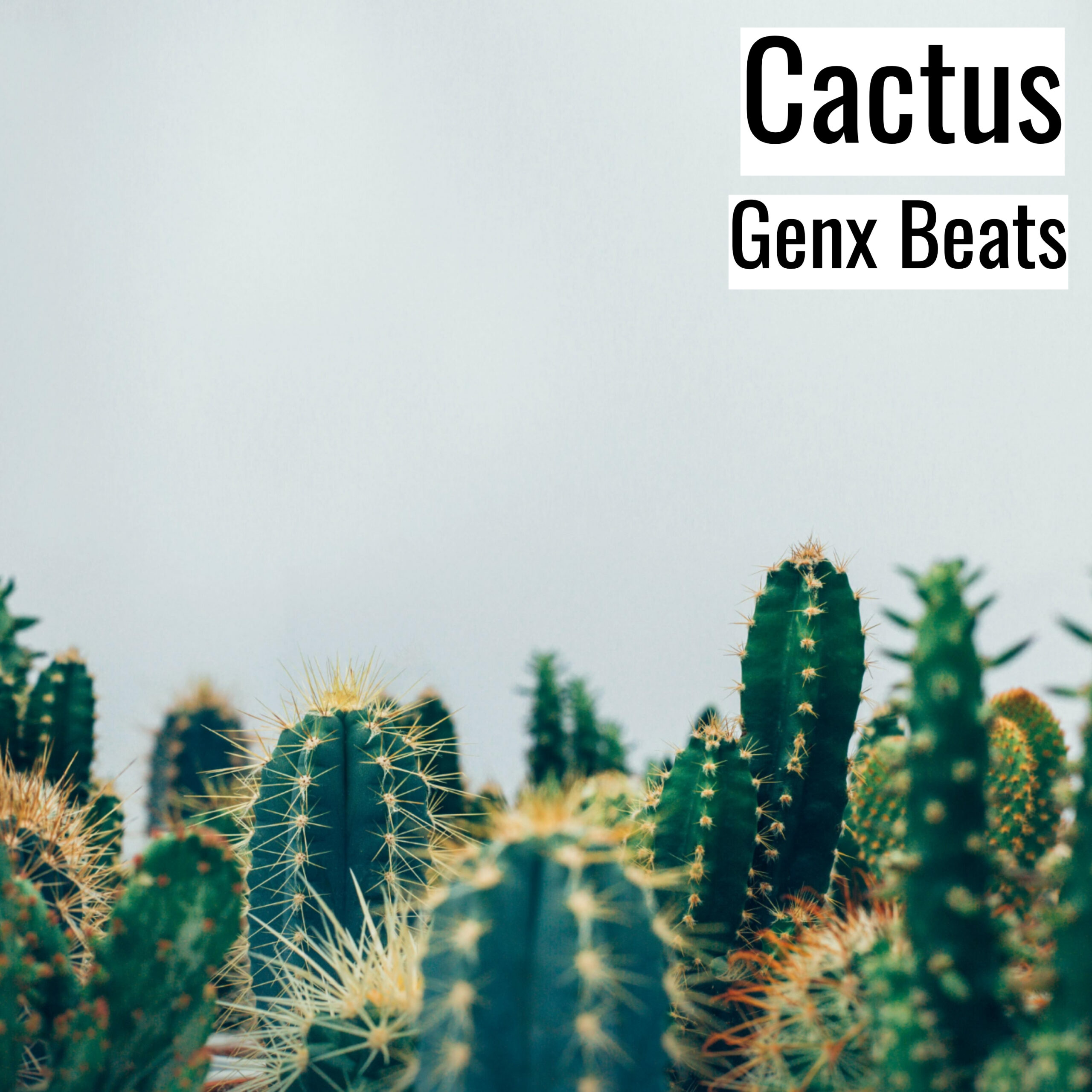 Cactus scaled