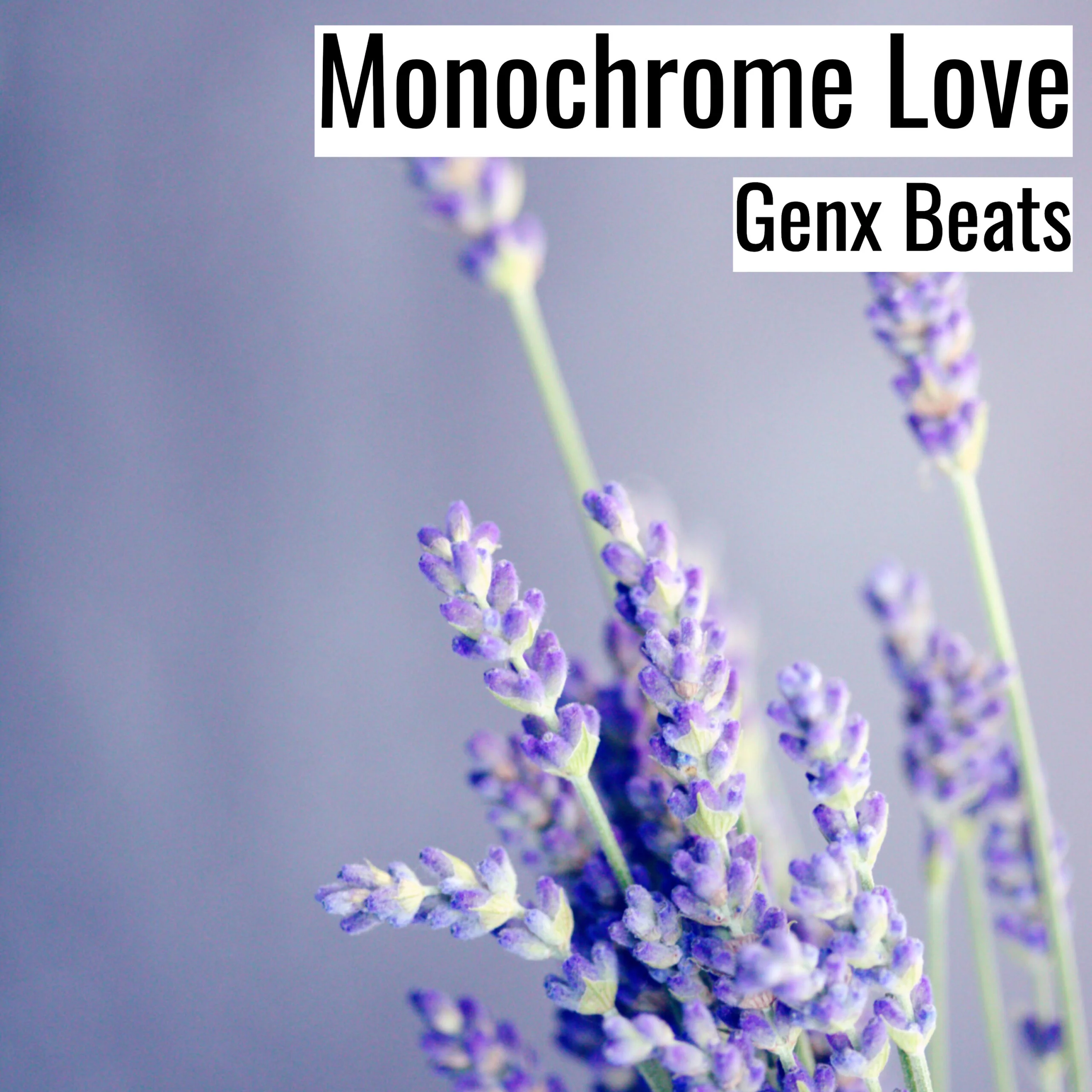 Monochrome Love scaled 1