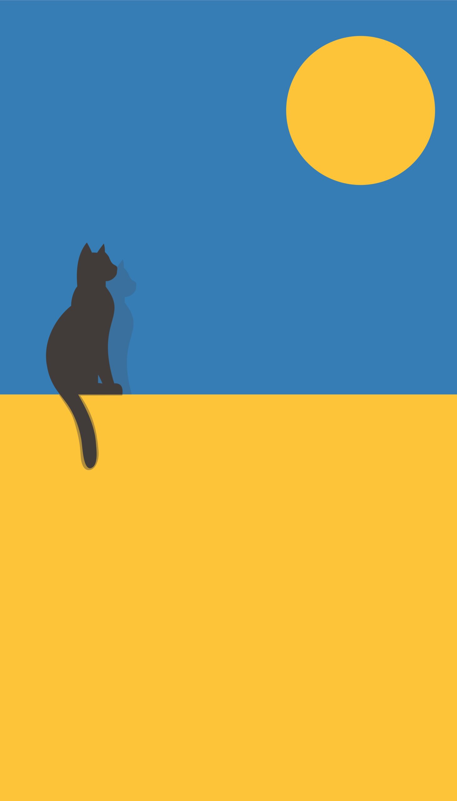 cecilia miraldi 31A87OIEQY4 unsplash scaled 1