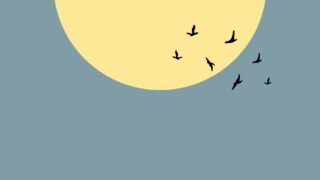 cecilia miraldi GSueFeEoRBE unsplash scaled 1