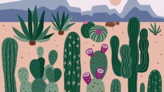 denisse diaz djil i8Gyrc unsplash scaled 1