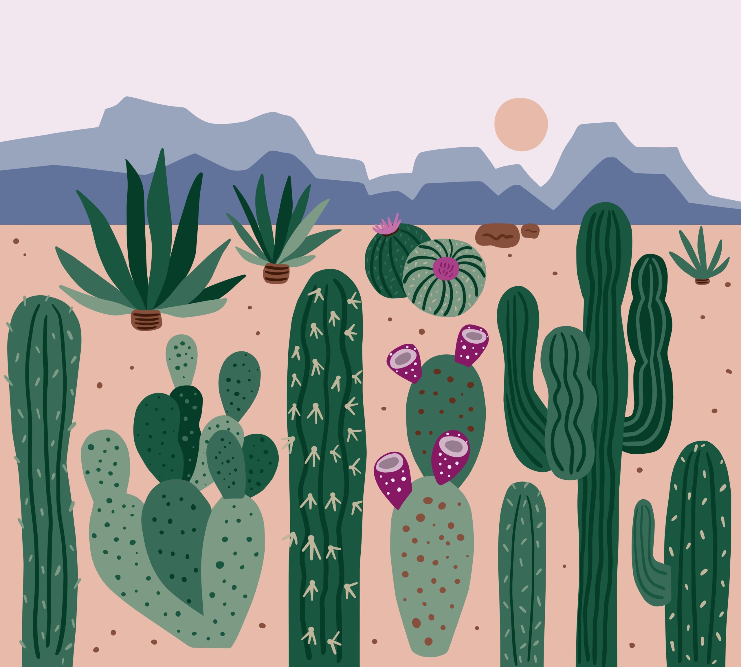 denisse diaz djil i8Gyrc unsplash scaled 1
